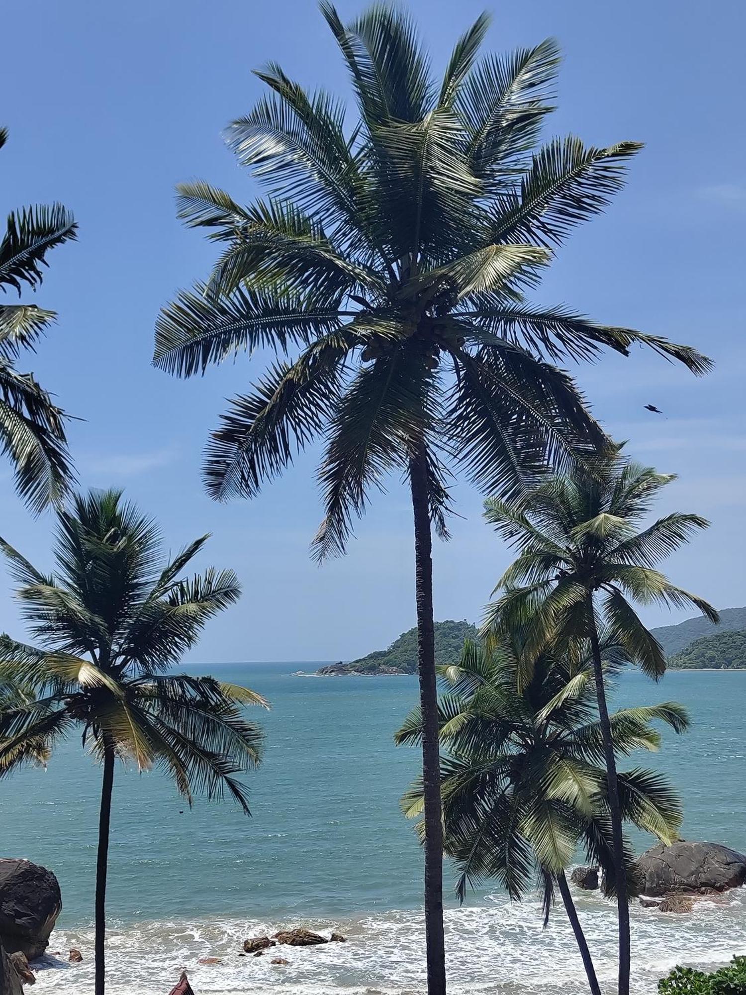 Hilltop Seaview Palolem Goa Hotell Eksteriør bilde