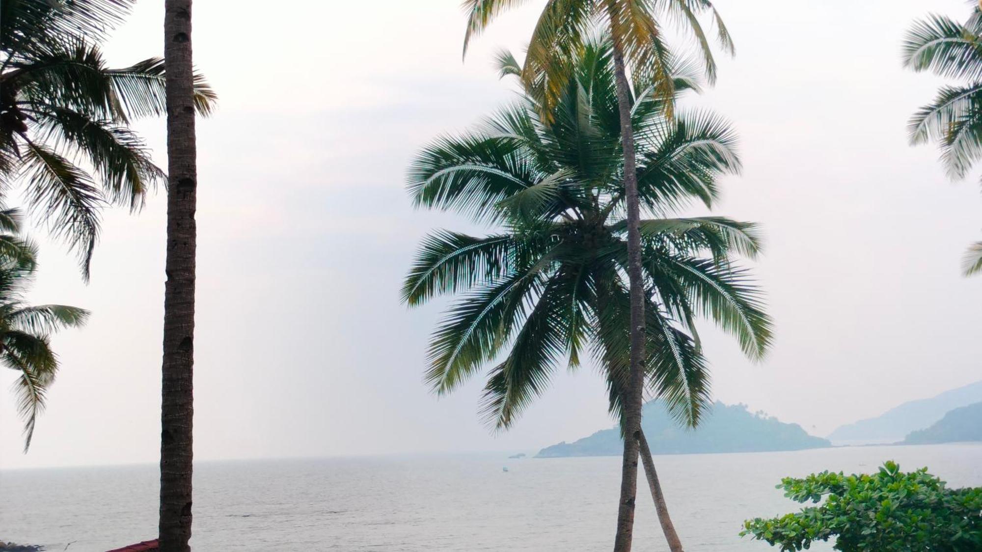 Hilltop Seaview Palolem Goa Hotell Rom bilde
